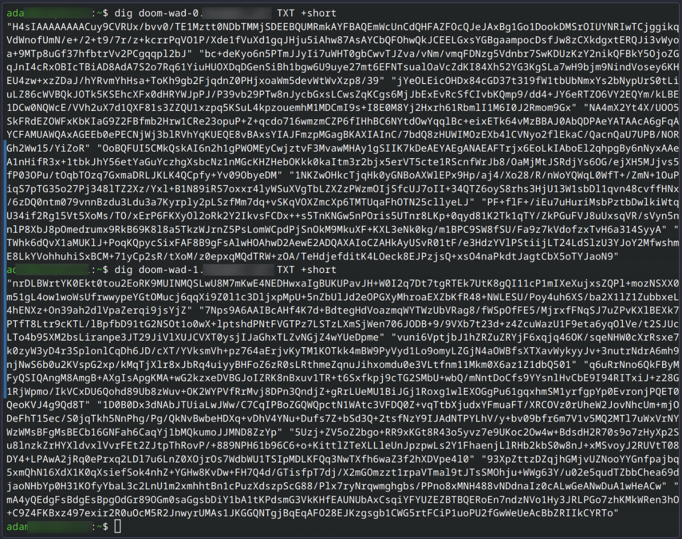 DNS 레코드 2,000개로 DOOM을 돌렸다고요? 게임 엔진을 DNS에 구현한 미친 프로젝트